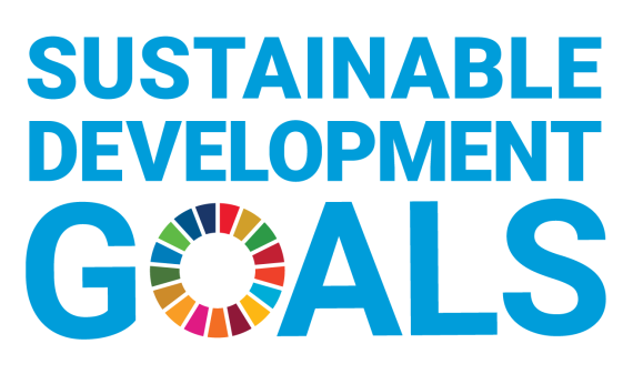 Insgesamt 17 Sustainable Development Goals hat die UN formuliert.