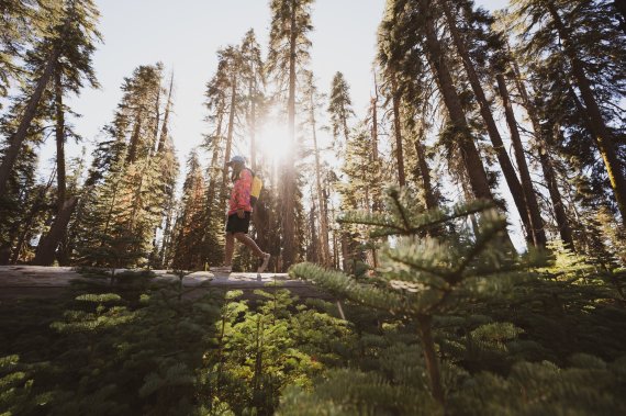 Eine Million Euro will The North Face Organisationen des Outdoorsports zur Verfügung stellen, um durch die Krise zu kommen.