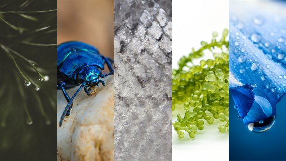 Textile Trend Fall/Winter 2022/23 - PROVENANCE Textile Trend Fall/Winter 2022/23 - PROVENANCE