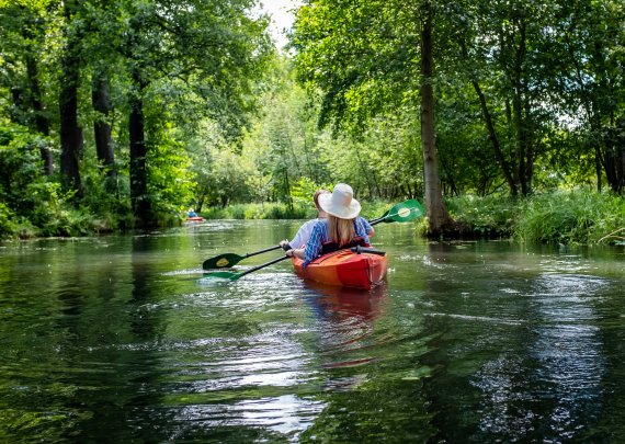 Mit dem Kanu durch den Spreewald: Ein Genuss für Outdoor-Fans.