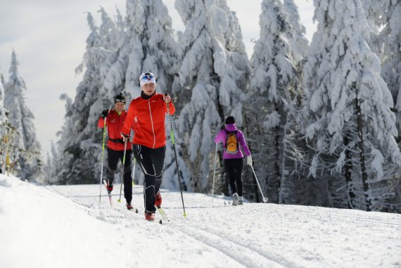 Copyright: Regionalverbund Thüringer Wald e.V.