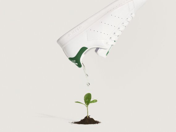 Wasser aus einem Schuh wird auf eine Pflanze gegossen