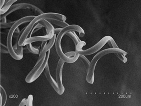 mb-toray_stretch Nylon polymers