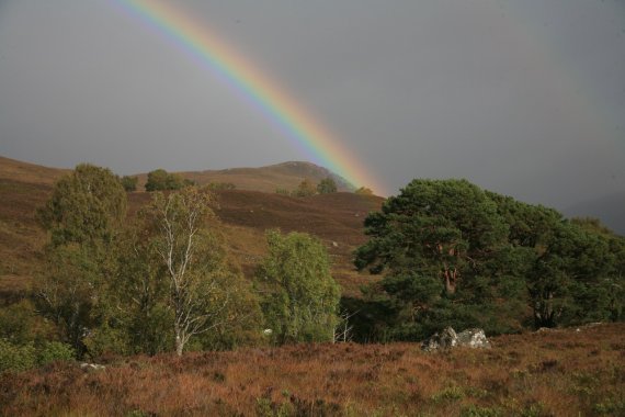 mb-Highlands2 Erhaltung der Highlands, Schottland.