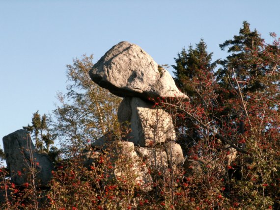 Kletterparadies Sachsen-Anhalt – Nationalpark Harz 