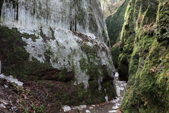 mb-160311-ThinkstockPhotos-465297168 Felsiger Grund, wie hier in der Drachenschlucht bei Eisenach