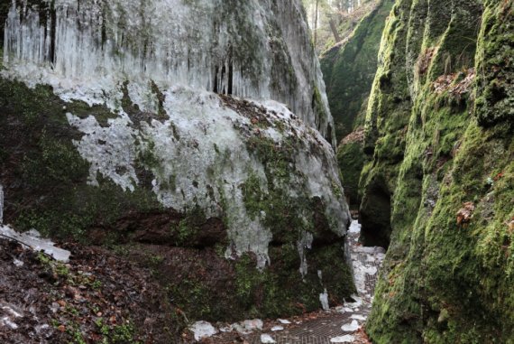 Felsiger Grund, wie hier in der Drachenschlucht bei Eisenach 