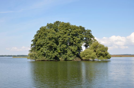 Der Große Plöner See – das größte Naturbad Schleswig-Holsteins