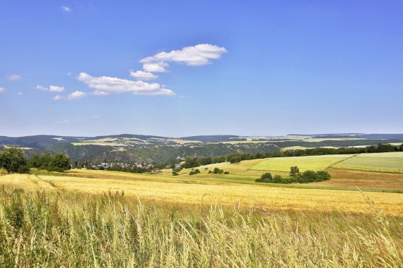 mb-160325-ThinkstockPhotos-497473045 Weites Land – Wandern im saarländischen Teil des Hunsrücks