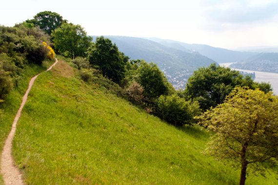 Single wandern in der pfalz