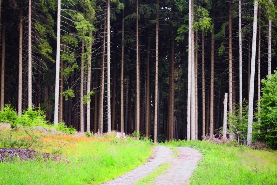 mb-160429-ThinkstockPhotos-160537292 Mit dem Bike durch die Eifel – Radtouren in Nordrhein-Westfalen