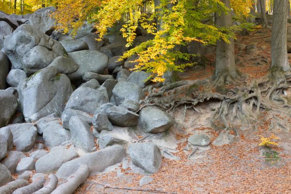 Wandern und Klettern – im Felsenmeer des Odenwalds in Hessen