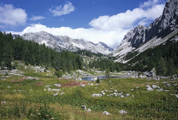 Trekking-Paradies Slowenien – bewirtete Hütten und Almen in alpiner Idylle 