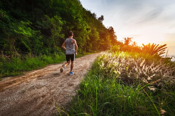 aerobic training Running Runner trains aerobically on a path in nature