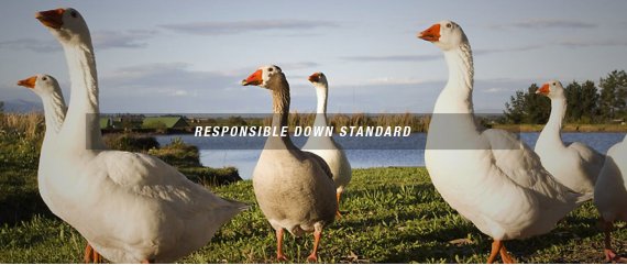 mb-170105-responsible4-down-standard-the-north-face With the initiation of the Responsible Down Standard, The North Face began doing pioneering work in the field of animal protection.