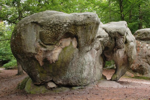 Im Wald von Fontainebleau laden skurrile Sandsteinformationen zum Bouldern ein.