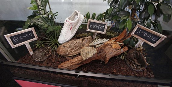 mb-170516-puma-biodegradation-process-of-the-puma-incycle-basket With its InCycle collection, Puma was one of the pioneers in 2013 in the recycling economy. Unfortunately there is little talk of this nowadays.