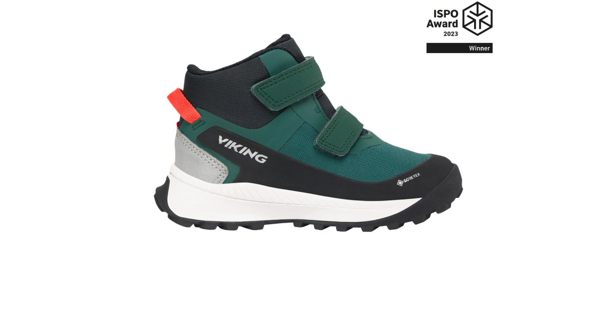 Viking_1.jpg?h=d1cb525d&itok=