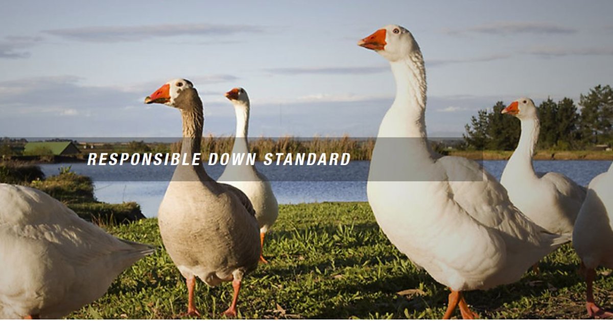 Responsible Down Standard Sustainable Down Production