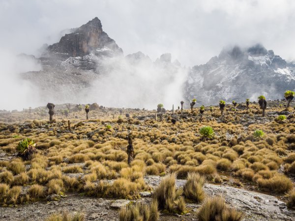 Der Mount Kenya mit Umland