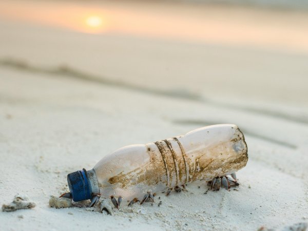 An old plastic bottle lies on the beach.