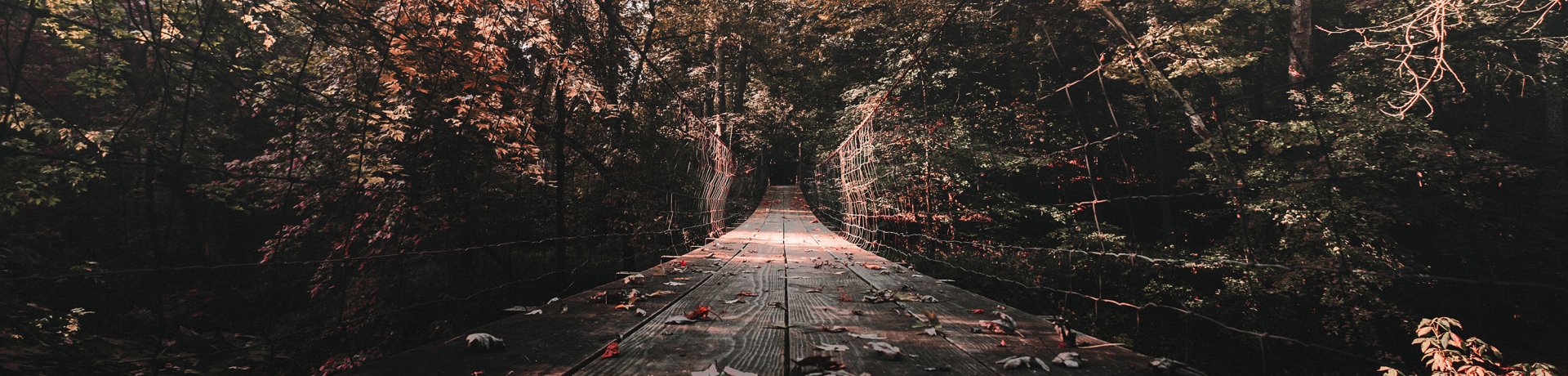 Hängebrücke Hängebrücke