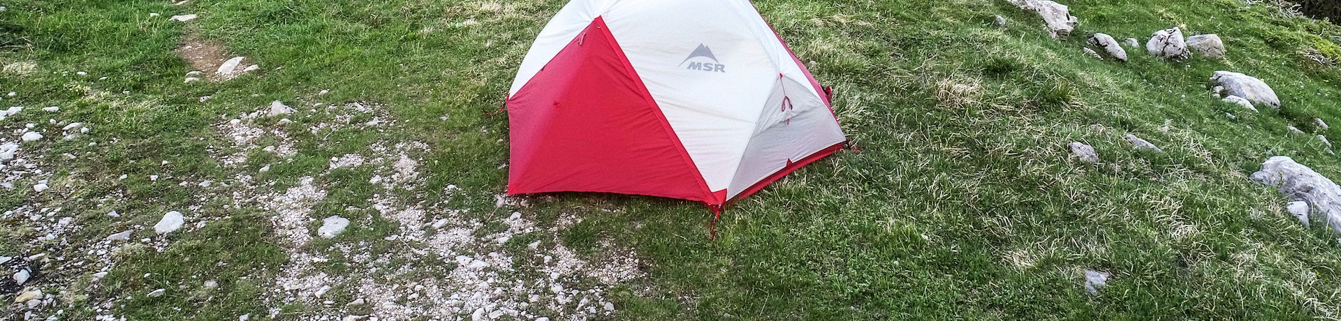 Gold Winner Tents