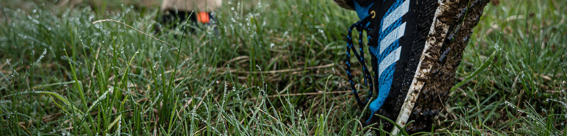 adidas TERREX FREE HIKER PARLEY