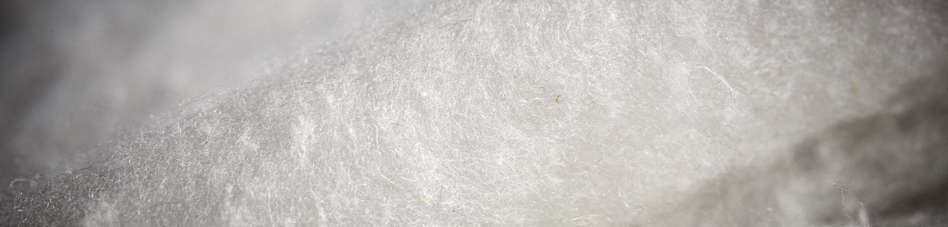 ISPO Textrends 2019 Spring/Summer – Best Product Fibers & Insulations Best Product Fibers & Insulations