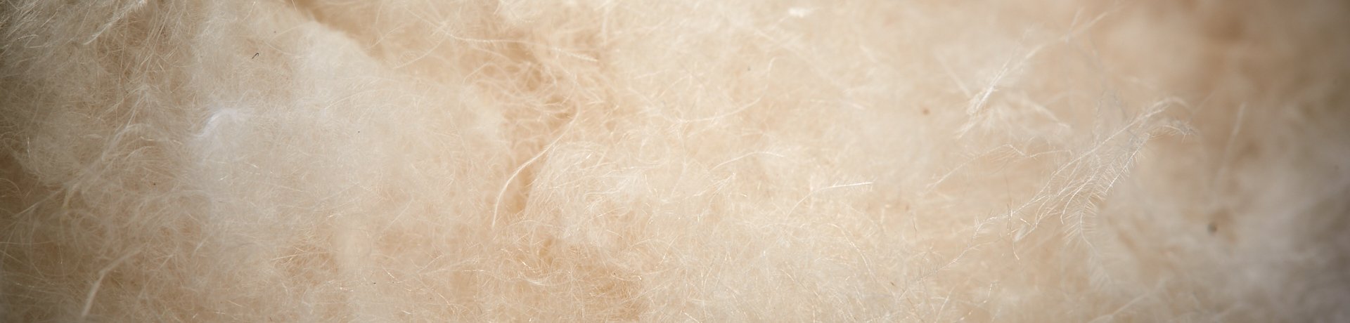 ISPO Textrends - Fibers & Insulations ISPO Textrends - Fibers & Insulations