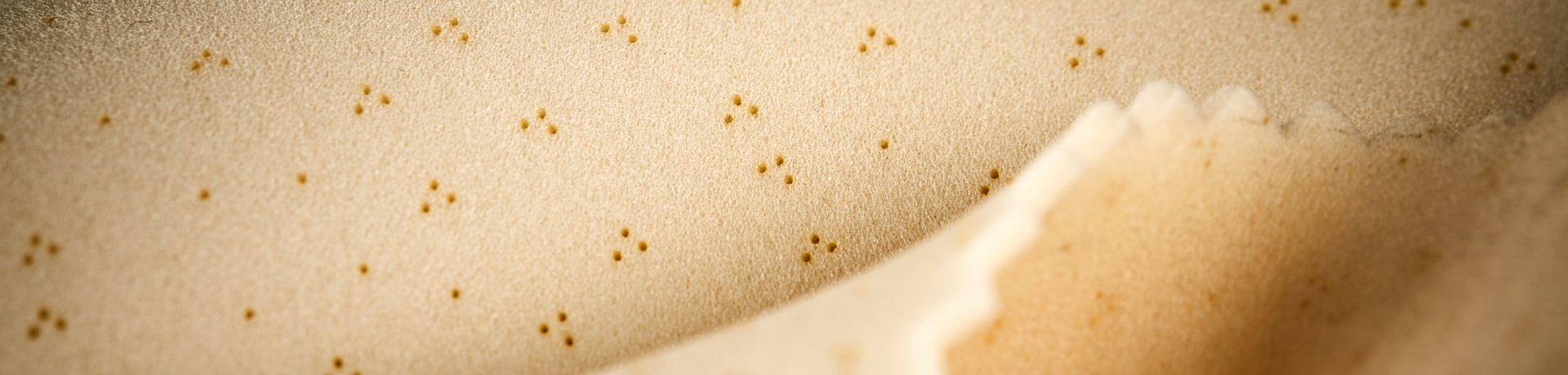 ISPOTextrends_2022_CategoryTeaserInsulation_MesseMuenchen ISPOTextrends_2022_CategoryTeaserInsulation_MesseMuenchen