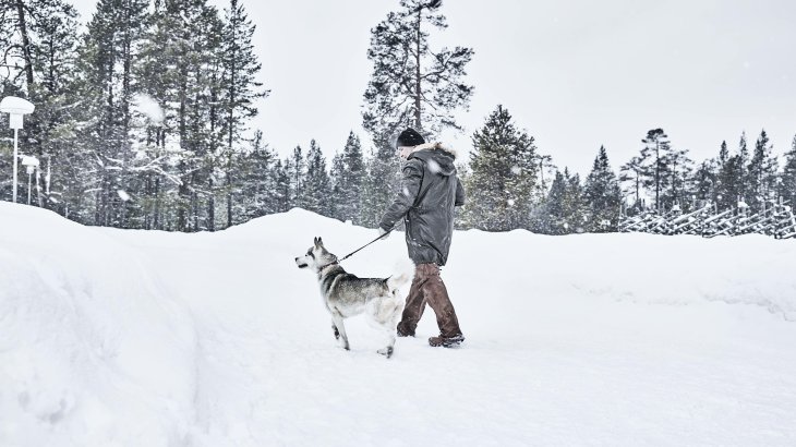 Quelle: ICEBUG ICEBUG-Träger mit Hund
