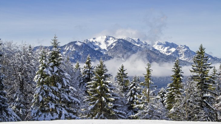 Die alpine Skitour-Route vom Pistenskigebiet am Brauneck auf die Benediktenwand (1800 m) ist nicht nur konditionell, sondern auch technisch durchaus fordernd. Die alpine Skitour-Route vom Pistenskigebiet am Brauneck auf die Benediktenwand (1800 m) ist nicht nur konditionell, sondern auch technisch durchaus fordernd.