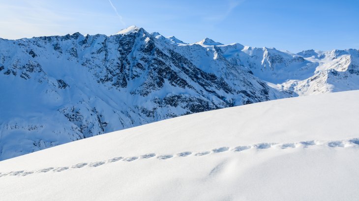 Rund um das Gebiet am Pitztaler Gletscher und Rifflsee gibt es unzählige Skitourenmöglichkeiten: Rositzkogel (3394 m), Schluchtkogel (3471m) sind nur zwei von vielen hochalpinen Zielen mit traumhafter Gletscherkulisse am Dach Tirols. Rund um das Gebiet am Pitztaler Gletscher und Rifflsee gibt es unzählige Skitourenmöglichkeiten: Rositzkogel (3394 m), Schluchtkogel (3471m) sind nur zwei von vielen hochalpinen Zielen mit traumhafter Gletscherkulisse am Dach Tirols.