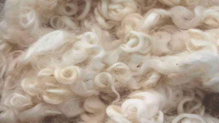 Aufgrund ihrer hervorragenden Eigenschaften setzen Menschen seit Jahrhunderten auf Wolle.