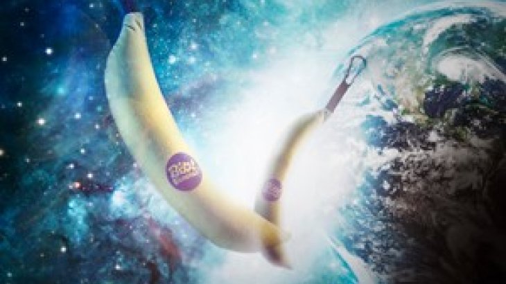mb-Boot-Bananas Boot Bananas: Wer sie in den Schuhen hat, muss keinen schlechten Geruch mehr fürchten.