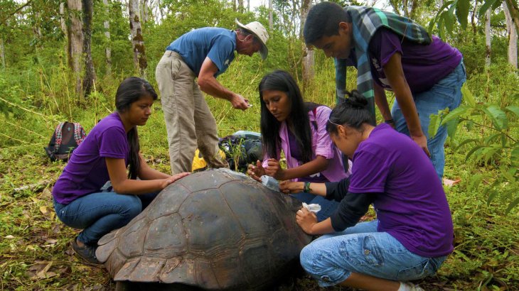 mb-Galapagos-Schildkroete-EOCA Lokales Jugendprojekt: Schutz der Galapagos Riesenschildkröte