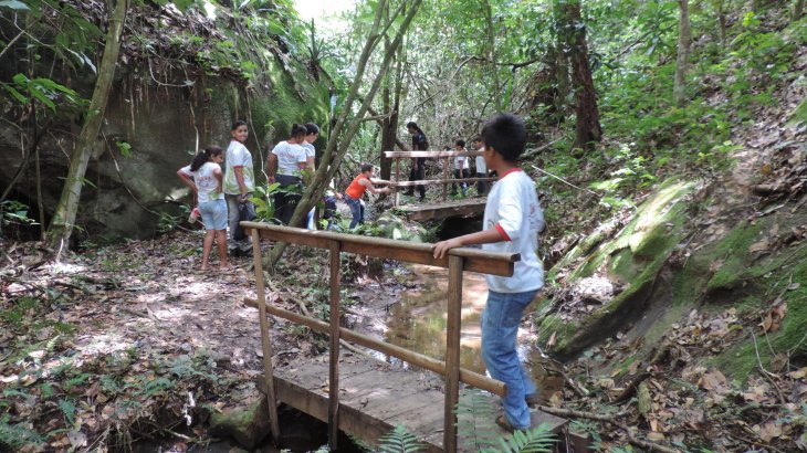 Erhaltung der Artenvielfalt im Atlantischen Regenwald, Brasilien.