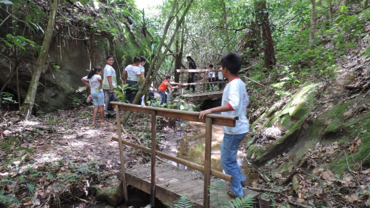 mb-Brasilien2 Erhaltung der Artenvielfalt im Atlantischen Regenwald, Brasilien.