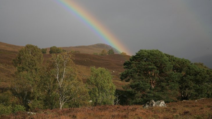 mb-A-Highlands2 Rewilding the Highlands, Scotland