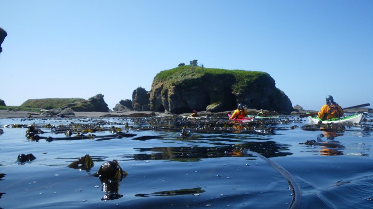 mb-160503-IMGP0295 Kayak tour in front of Tatoosh Island in the State of Washington.
