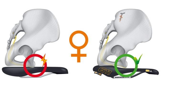 mb-sqsattel-frauen Andere anatomische Voraussetzungen, trotzdem der richtige Sattel: Das Frauen-Becken passt ebenso ideal auf den Ergowave-Sattel.