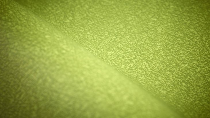 100% silicone surface on a polyester backing, Sileather is a leathelr-look high performance fabric represented by US-based Siotech and developed by Guanzhou Xibo Chemical Technology. Sileather is eco-friendly, sustainable, easy to clean, weatherproof, and highly durable performance fabrics that can be applied in various applications, even in extreme environments. The added benefits of chlorine resistant, anti-tear and salt resistant make it a perfect option for swimwear, diving suits and wetsuits.