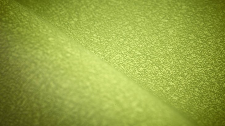 mb-170628-7 Sileather, mit einer Oberfläche aus 100 % Silikon auf einem Unterstoff aus Polyester, ist eine von Guanzhou Xibo Chemical Technology entwickelte Hightech-Funktionsfaser im Lederlook, die vom US-Unternehmen Siotech vertrieben wird. Sileather ist eine umweltfreundliche, nachhaltige, leicht zu reinigende, wetterfeste und äußerst strapazierfähige Funktionsfaser, die in verschiedenen Bereichen eingesetzt werden kann, auch in extremen Umgebungen. Dass es chlorresistent, reißfest und salzwasserbeständig ist, macht