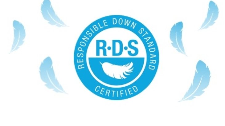 mb-170809-rds