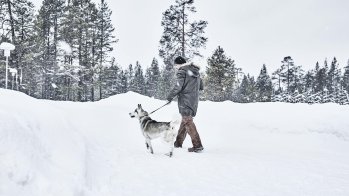 ICEBUG-Träger mit Hund