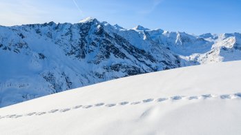 Rund um das Gebiet am Pitztaler Gletscher und Rifflsee gibt es unzählige Skitourenmöglichkeiten: Rositzkogel (3394 m), Schluchtkogel (3471m) sind nur zwei von vielen hochalpinen Zielen mit traumhafter Gletscherkulisse am Dach Tirols. 