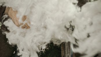 The result of the hard work of shearing sheep: wool.
