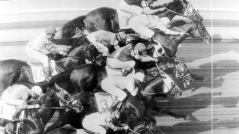 It can also be really tight in horse racing. At this finish at a tournament in Chicago in June 1963 the finish photo has to decide. All nine competitors are less than one horse length behind the final winner Penny O'Joe at the finish.