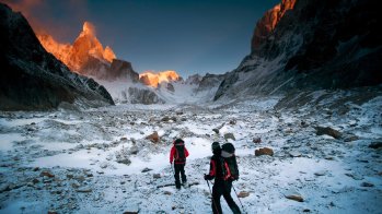 Lama mit Kletterpartner am Cerro Torre.